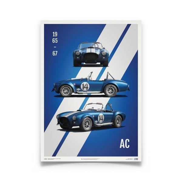 Automobilist Shelby Cobra Mark III #14 Racing Car Poster 50x70cm