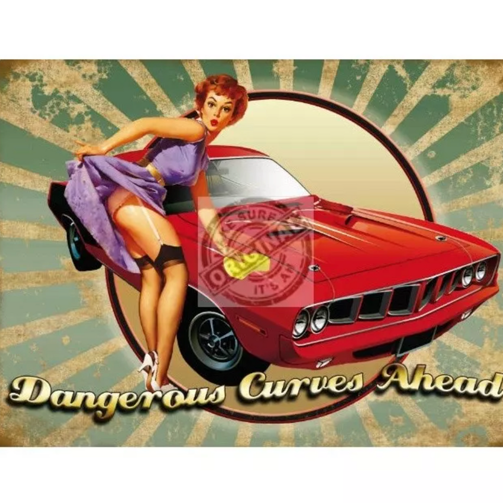Original Metal Sign Company Wall Sign Curves Ahead Pin-Up 150x200mm
